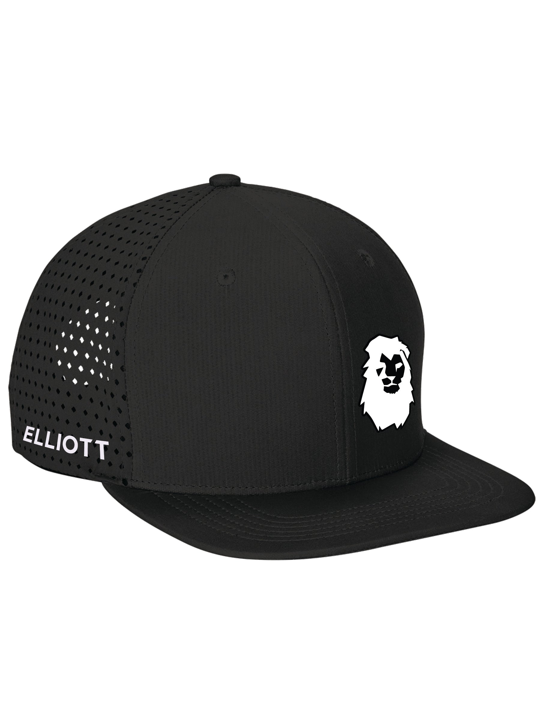 Spacecraft Salish Perforated Cap